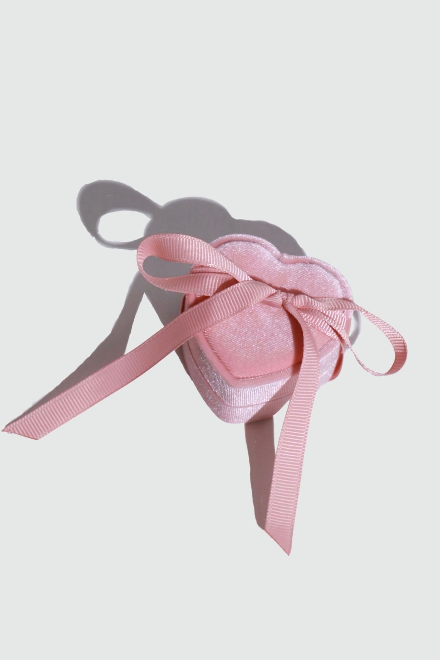 CTC Ring Case
