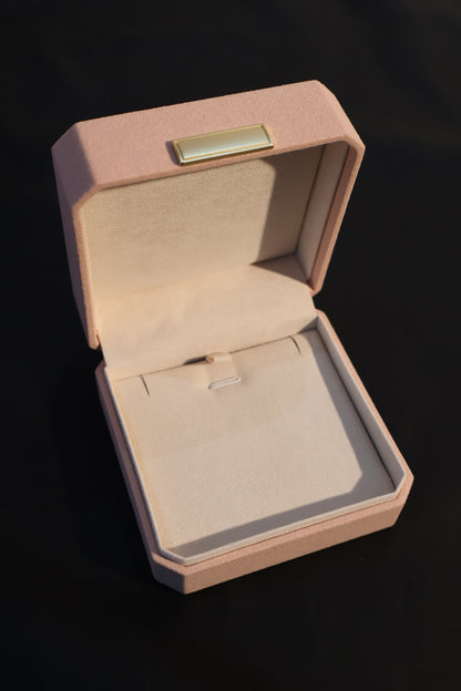 CTC Jewelry Case