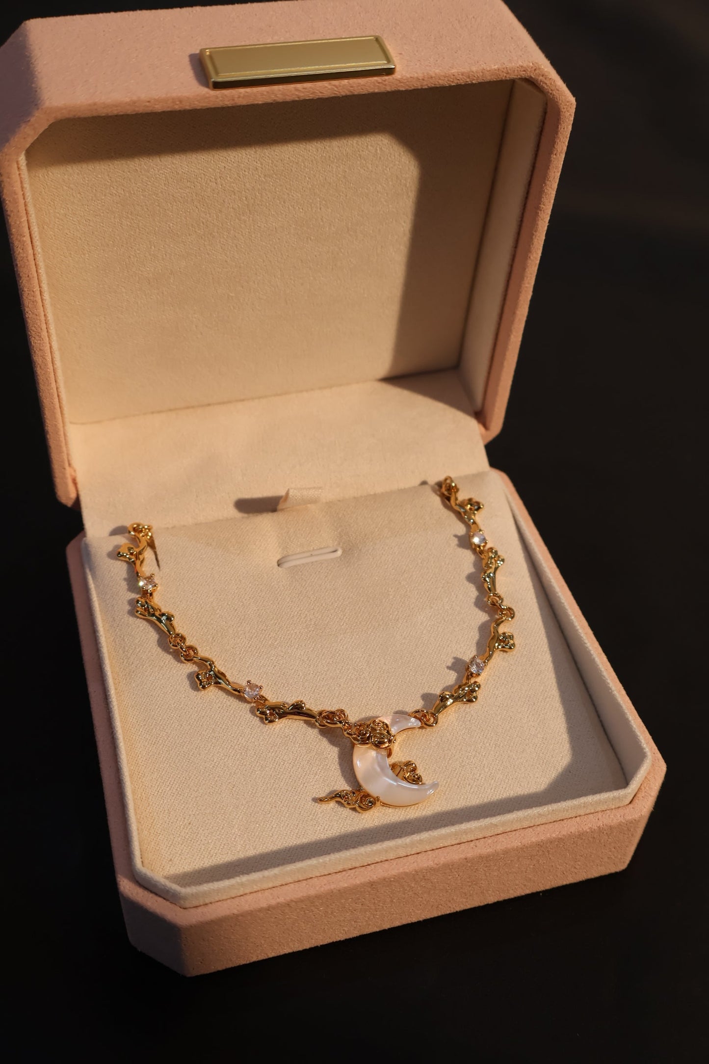 CTC Jewelry Case