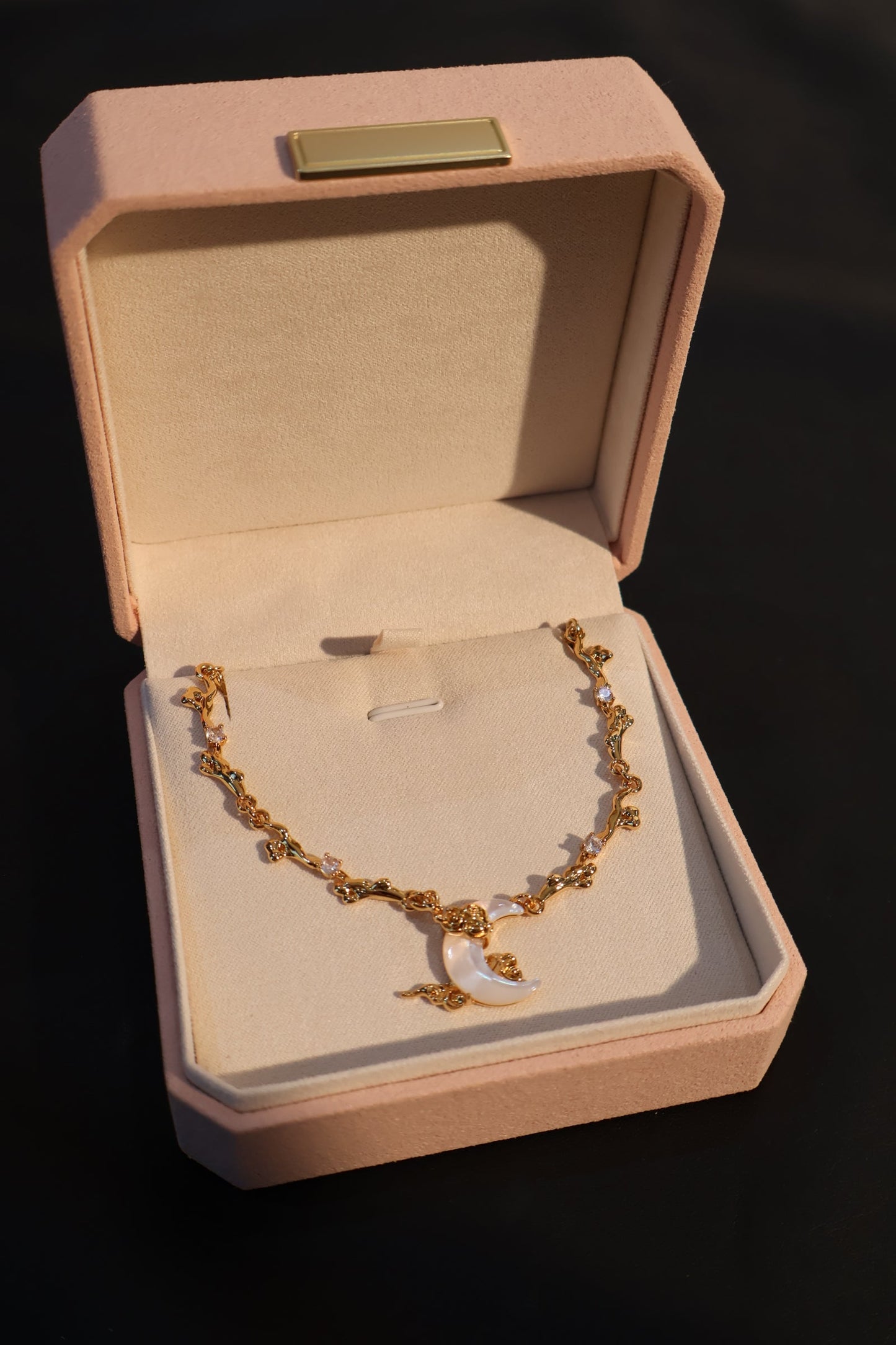 CTC Jewelry Case