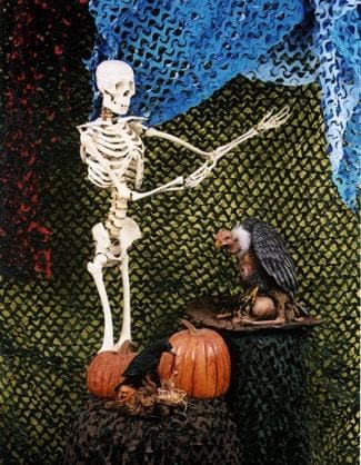 "Camo Crazy Background - 8 X 20 - Green / Brown" Haunted House Decoration