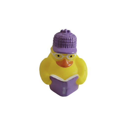 Mystery Duck Mini Ducks