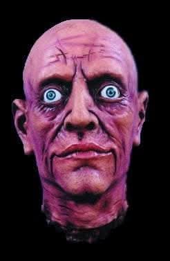 REALISTIC CUT HEAD Halloween Decoration